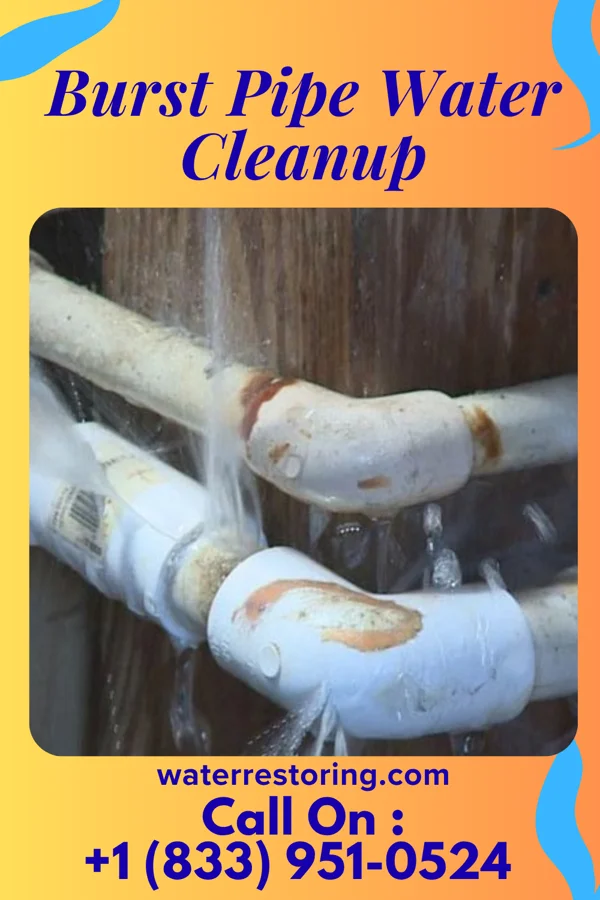Burst Pipe Water Cleanup in Melrose Park, IL