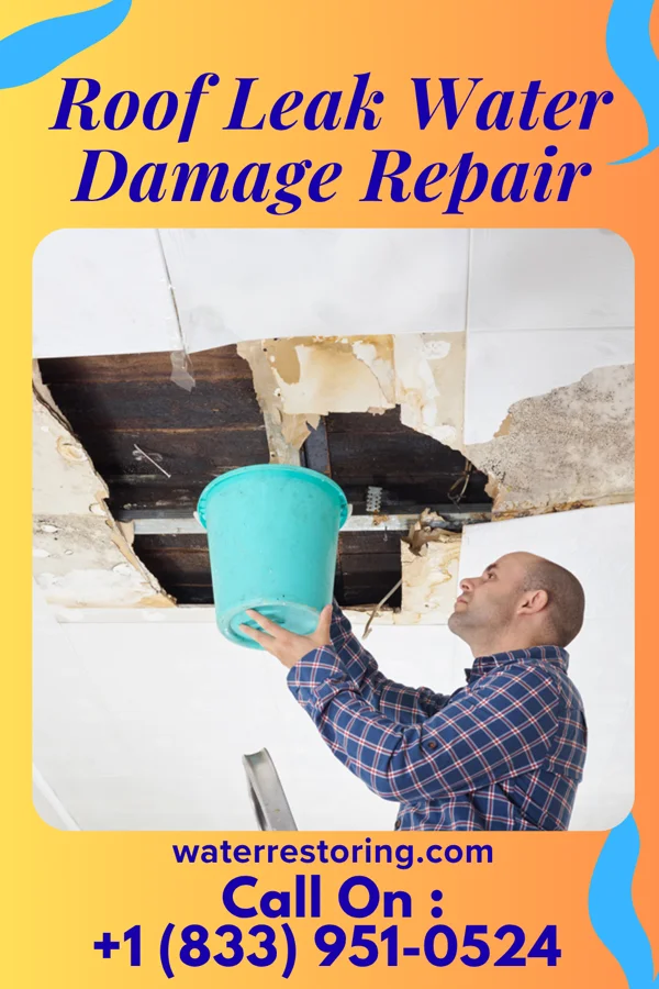 Roof Leak Water Damage Repair in Melrose Park, IL