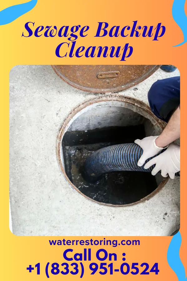 Sewage Backup Cleanup in Melrose Park, IL